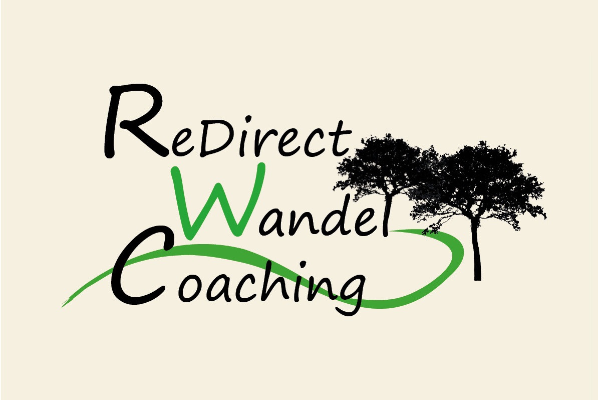 _logo ReDirect website_cropped rechthoekig - CdW